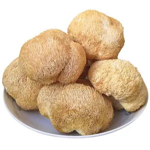 Healthy Food medicinal mushroom Dried Lions Mane Monkey Head Mushroom
