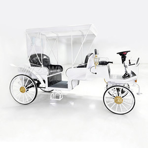 Voitures électriques de tourisme ZOWN Victoria de haute qualité, nouveau design, garantie de deux ans, origine Chine, chariot de tourisme vintage - Product Image 2
