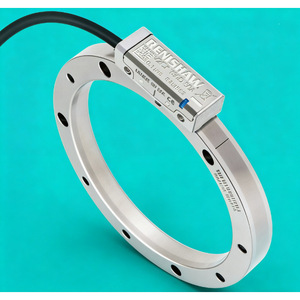 เซ็นเซอร์วัดระยะทางเชิงเส้น Renishaw RESM REST ซีรีส์ 300 มม. สำหรับมอเตอร์แบบกราตติ้ง - Product Image 1