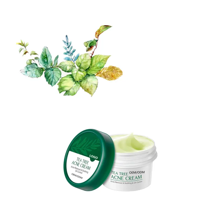 OEM ODM factory price Korea organic anti scar tea tree cream for acne