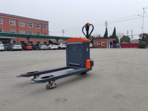 Transpaleta Eléctrica con Capacidad de Carga de 2000 kg, Mástil de una Etapa, Neumáticos Sólidos, Uso en Interiores, Aplicación en Plantas de Manufactura - Product Image 6