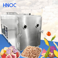HNOC Industriële Melk Lyofilisator 60kg 300kg Bloemen Vriesdroger Fruit Bes Vriesdroogmachine Prijs