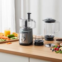OEM ODM Multifunctionele huishoudelijke draagbare fruitpers mixer elektrische commerciële voedselprocessor blender met maalfunctie