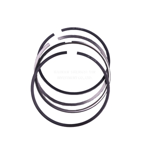 Vòng <span class=keywords><strong>piston</strong></span> chịu mài mòn 4089811 niêm phong tối ưu - Product Image 1