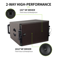 RAYHAYES KARA 112 Subwoofer passif professionnel en néodyme, en contreplaqué de bouleau écologique, impédance 8 ohms, puissance 1200W