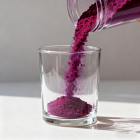 Poudre d'extrait de jus de racine de betterave rouge biologique en poudre de betterave naturelle pure en vente en gros d'usine