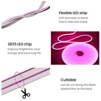 Usine Neon Flex LED Lights Strip 5M SMD 2835 Étanche Panneaux Extérieurs Corps Corde Lumière 12V Flexible Souple PVC LED Neon Lights