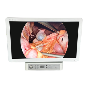 Système de caméra endoscopique portable SYKERS SKS-P200 avec écran de 21 pouces pour animaux - Product Image 2