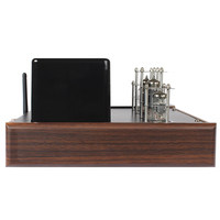 Amplificateur à tubes à vide stéréo audio haute fidélité de petite taille 60W en vente chaude AV-2030BL