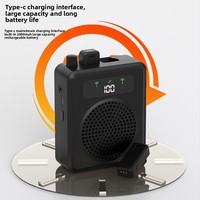 Amplifier Mini Nirkabel 10W Model Pribadi untuk Penggunaan di Rumah dan Luar Ruangan, Satu-ke-Dua Mikrofon Lavalier Kecil Model Lebah, Penerima Plastik untuk Guru