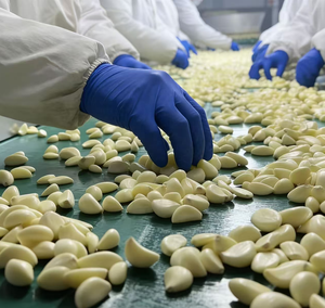 Bawang Putih Kupas Segar Kemasan Vakum Nitrogen Merek Optimum Kualitas Terbaik Panen Terbaru Eksportir Grosir Pemasok - Product Image 2