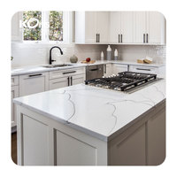 Plaques en plastique acrylique Staron Solid Surface Color Big Slab 3660*760*12mm avec garantie de 10 ans