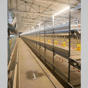 Nouvelles cages à poulets de type H multi-niveaux robustes avec revêtement antirouille, garantie de 5 ans, conception facile à utiliser - Product Image 1