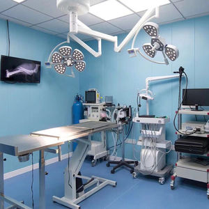 Hochwertiges Veterinär bett 304 Edelstahl tiere Elektrischer chirurgischer Operations tisch Elektrischer Haustier-Operations tisch für Hunde katze - Product Image 5