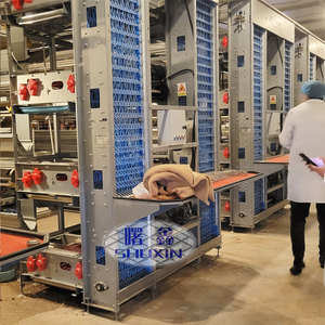 Cage à poulets automatique à 4 niveaux pour 50 000 poules pondeuses, cage à batterie galvanisée pour élevage avicole, à vendre <span class=keywords><strong>en</strong></span> Ouganda - Product Image 5