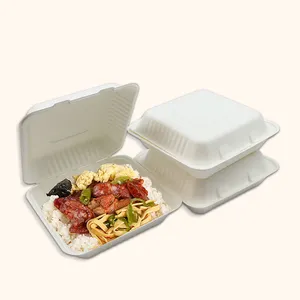 Vỏ Sò Mía Phân Hủy Sinh Học Compostable Bagasse Burger Box