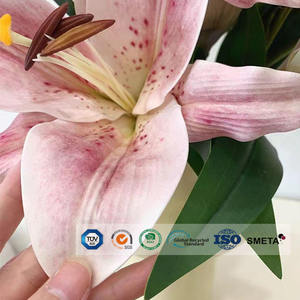 Mousse <span class=keywords><strong>EVA</strong></span> pour fleurs – Prix direct usine – 1mm 2mm 3mm – Magnifique rouleau de feuilles de mousse <span class=keywords><strong>EVA</strong></span> pour la fabrication de fleurs en mousse - Product Image 5