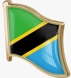Ensembles de produits de la fête nationale <span class=keywords><strong>en</strong></span> gros pays porte-clés <span class=keywords><strong>en</strong></span> métal collier à épingles drapeaux nationaux de la <span class=keywords><strong>Tanzanie</strong></span> - Product Image 4