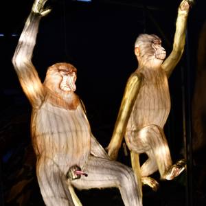 โคมไฟจีน LED กันน้ำสำหรับตกแต่งเทศกาลและขบวนพาเหรด ผลิตตามสั่งสำหรับใช้ภายใน/ภายนอกอาคาร - Product Image 4