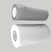 Usine Uv Dtf Transfert ab Pet Film Rouleau 30*100cm ab Film Transfert Dtf A3 30 cm Uv Dtf Film D'impression