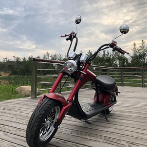 Scooter Eléctrico con Certificación EEC COC Emark, Disponible en Almacén Europeo, Bicicleta de Dos Ruedas Autoequilibrada para Adultos - Product Image 3