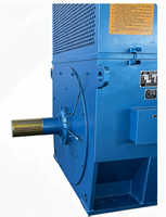 Moteur asynchrone triphasé à induction 3kV/6kV/10kV, moteur synchrone de grande et moyenne taille pour l'exploitation minière