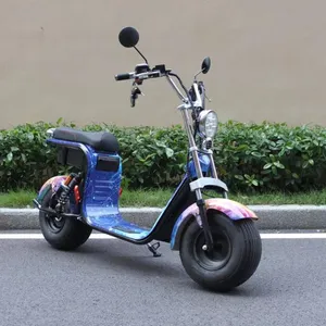 Venta caliente de China venta al por mayor barato 1000 W/1500 W/2000 W CEE/CDC/CE scooter Eléctrico citycoco de la motocicleta