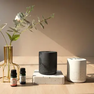 Nieuwe Ontwerp Handgemaakte Fabriek Hoge Kwaliteit Auto Fan Waterloze Aroma Diffuser