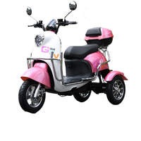 Tricycle électrique puissant : batterie 60V, frein à tambour, charge rapide