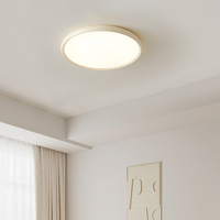 Plafonnier LED moderne en fer et acrylique, 3500K blanc chaud, AC 220V, éclairage intérieur à économie d'énergie pour salon et chambre à coucher