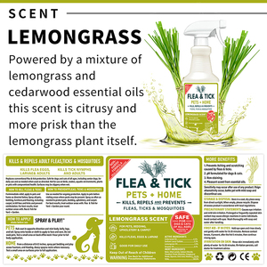Repelente de Insectos en Aerosol con Aceite de Menta, Control Natural de Insectos en Interiores y Exteriores <span class=keywords><strong>para</strong></span> Arañas, Hormigas, Cucarachas y Más, con Ingredientes a Base de Plantas - Product Image 4