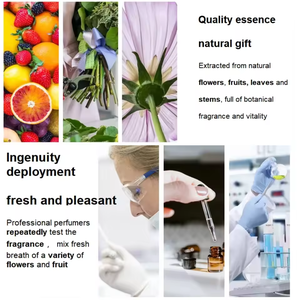 Premium Cologne Collectie Groothandel Merkparfums voor Heren met Certificaat Inclusief Body Spray Groothandel Merkparfums - Product Image 4