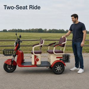Véhicule Tricycle Électrique Neuf 48V 60V à Trois Roues avec Moteur Différentiel 650W et Jantes en Aluminium pour l'Exportation en Gros - Product Image 5