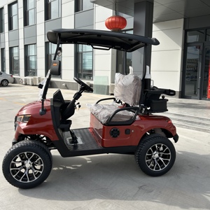 Carrito de Golf Eléctrico para 2 Personas, el Más Vendido, para Campos de Golf y Clubes, con Servicio de Larga Duración, Vehículo Eléctrico, Fabricación OEM - Product Image 3