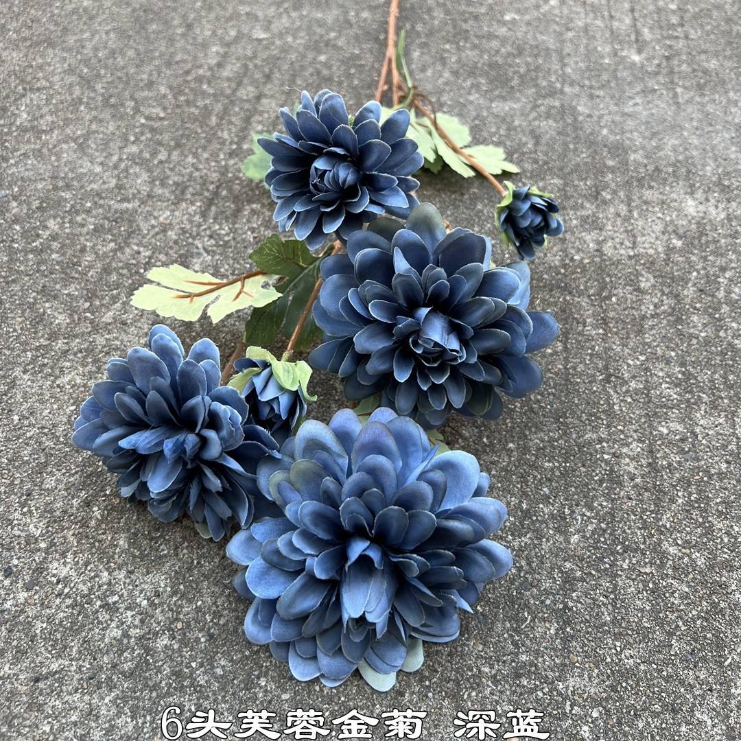 Dusty Blue, 6 head hibiscus golden chrysanthemum deep blue