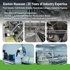 Bubuk Protein Peptida Kolagen Terhidrolisis - Kolagen Industri - Ramah <span class=keywords><strong>Paleo</strong></span> & Keto, Suplemen Asam Amino - Product Image 1