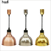 Guangzhou Hadi Commercial Restaurant Éclairage Haute Puissance Moderne En Acier Inoxydable Lampe Chauffante Faible Chaleur Lumière Pas Cher Suspendu