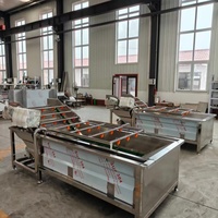Nieuwe enkelvoudige tank bubbelgroente- en fruitreinigingsmachine voor kleine voedselverwerkingsbedrijven, gemotoriseerd en multifunctioneel