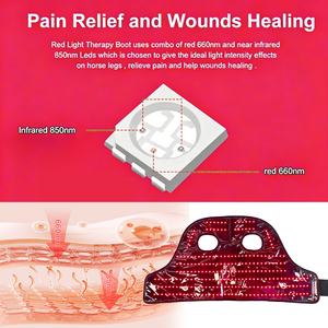 Dispositivo de Terapia Personalizado de 660nm y 850nm para Recuperación de Lesiones en la Cabeza de <span class=keywords><strong>Caballos</strong></span>, Curación de Fracturas, Terapia de Luz Roja Portátil para la Cabeza de <span class=keywords><strong>Caballos</strong></span> - Product Image 5