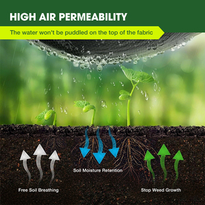 Toile de paillage tissée en polypropylène (PP) en rouleau, anti-mauvaises herbes, écologique, pour usage agricole, découpable - Product Image 2