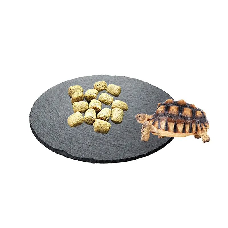 Reptile se prélasser plate-forme tortue roche ardoise plaque plate-forme d'alimentation bol de nourriture plat tortue bain roche repos terrasse