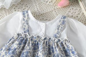 Vêtements d'automne pour bébé, collection Printemps-Été, Robe longue à manches longues style Princesse <span class=keywords><strong>Triangle</strong></span> Ha Yi pour bébé fille, Jupe à volants, Vêtements d'extérieur + chapeau - Product Image 4
