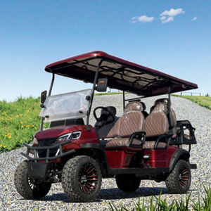 Voiturette de golf électrique 6 places, sur mesure, pour terrains non publics - Product Image 1