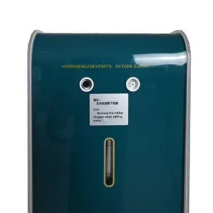 1500Ml Thuisgebruik 99.999% Zuiverheid Hho Generator Waterstofproductie Pem Waterstof Generator Elektrolyzer