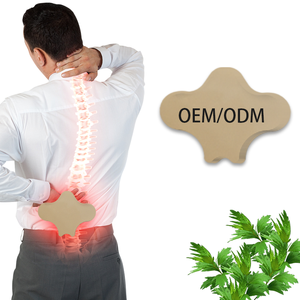 Lijito OEM/ODM Herbal pereda nyeri Patch Cross-border tiger Eagle merek mengurangi nyeri serviks dan Lumbar terbuat dari kain katun - Product Image 1