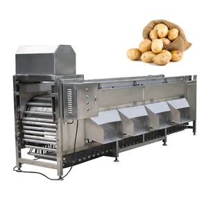 NEWEEK onion grading machine size sorting onion processing line potato washing and grading machine