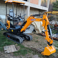 Mini-excavatrices à chenilles EURO 5, très demandées, avec moteur CE EPA, pour usage domestique et agricole, capacités 1T, 2T, 2.5T, 3T