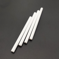 4mm 5mm 5.5mm 6mm 7mm 8 mm Blanc Humidificateur Filtre Air Mèche Parfum Fibre Absorbant Bâton Fibre Reed Diffuseur Bâton