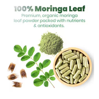 Capsules de Moringa végétaliennes OEM très vendues – Antioxydant efficace, stimulant immunitaire, améliore l'énergie et le métabolisme – Extrait de feuille de Moringa