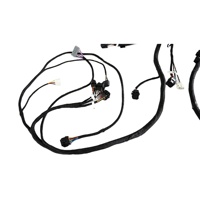 Harnais de câblage complet, fabricant de harnais de câblage sur mesure, médical/5G/industriel/agricole/automobile